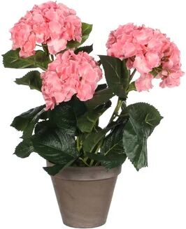 The Seasonal Aisle Artificial Flowering Plant in Pot The Seasonal Aisle Flower Colour: Pink, Size: 40cm H x 35cm W x 35cm D  - Size: 22cm H x 25cm W x 25cm D