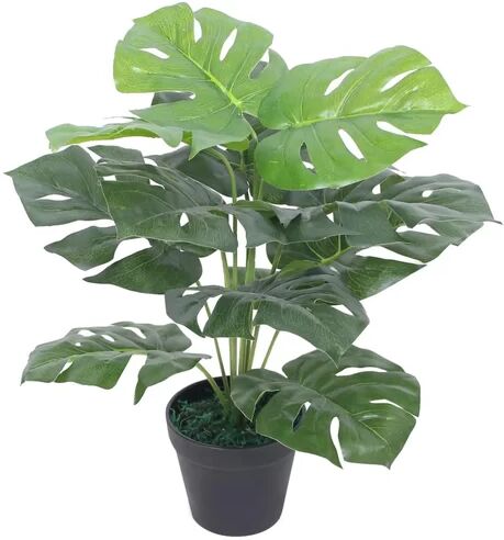 Bay Isle Home Monstera Floor Foliage Plant in Pot Bay Isle Home  - Size: