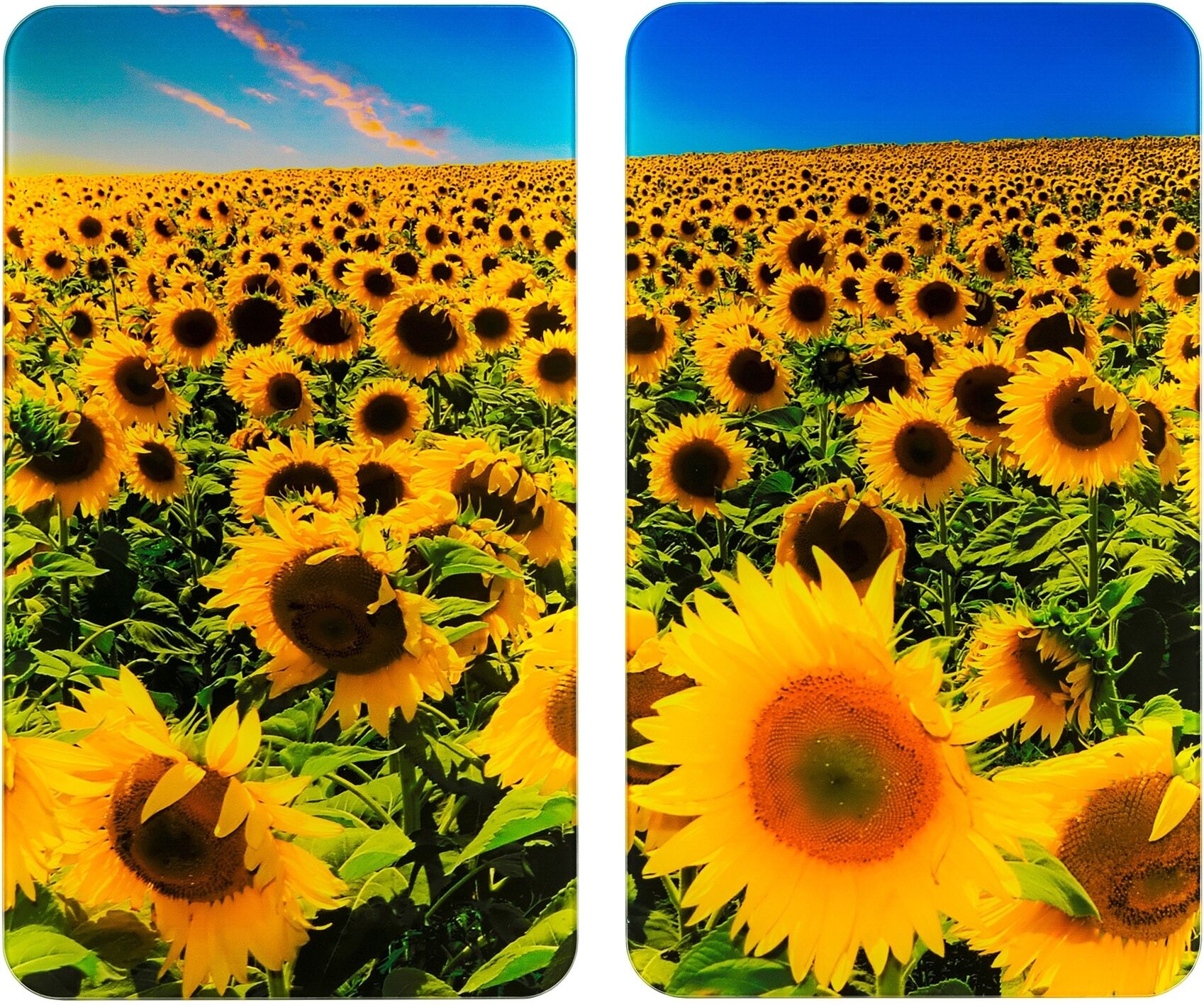 WENKO Herd-Abdeckplatte »Universal Sonnenblumenfeld«, (Set, 2 tlg.)