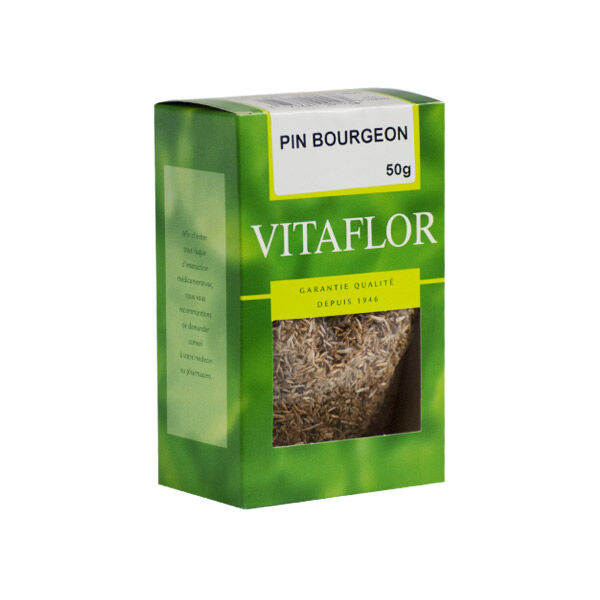 Vitaflor Infusion Pin Bourgeon 50g