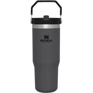 Stanley 1913 - Isolierbecher, 0.89l, Grau