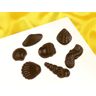 Pati-Versand Schokoladenform Meeresfrüchte 9er