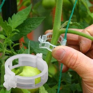 100-pak plast haveplante støtte clips, tomat clips 100 stk 100st