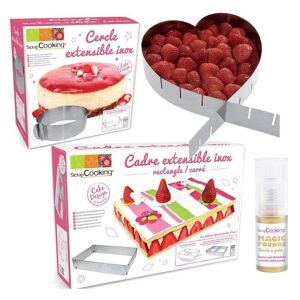 3 cadres patisserie extensibles c?ur, cercle & rectangle + 1 poudre alimentaire irisee doree Youdoit