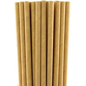 Set de 250 pailles ecologiques en papier kraft Lebrun [Bois]