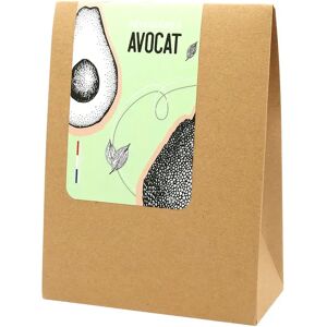 Kit accessoires a avocat Chevalier diffusion