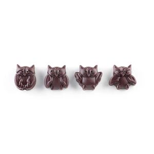 Moule en silicone 12 chocolats chouette Silikomart [Marron]