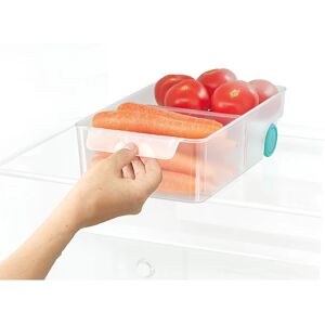 Grand bac rangement FridgeStore Joseph Joseph []