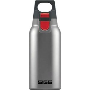 Sigg Bouteille isotherme Accent One Hot & Cold 0.3 L Gris Brossé - Publicité