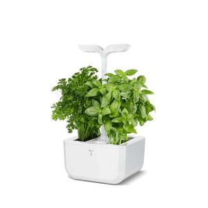 Véritable Potager d'intérieur Exky® classic Blanc 33x45x18cm