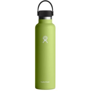 Hydro Flask 24 Oz Standard Flex Cap - Bouteille isotherme Seagrass 24 oz (710 ml) - Publicité