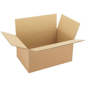 DELAISY KARGO Carton caisse double cannelure 450 x 350 x 250 mm