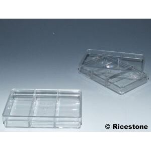 Ricestone 7) 12x Boites Plastique 65 x 99 x 20, transparente; 3 compartiments.