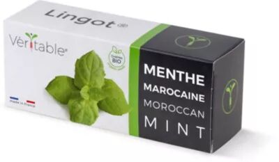 Recharge VERITABLE menthe marocaine bio