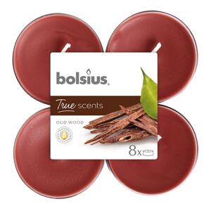 BOLSIUS Tealight  essenza legno di oud  Ø 11.5 cm H 4.6 cm, 8 pezzi