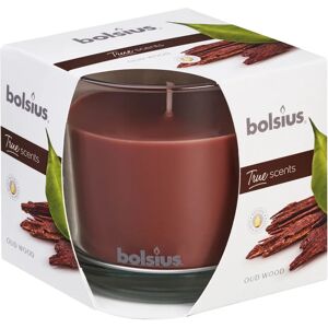 BOLSIUS Tealight  essenza legno di oud  Ø 9.7 cm H 9.9 cm