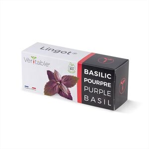 VERITABLE Lingots Basilico Viola Bio