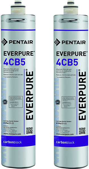 Everpure 4cb5 Ev961711 Everpure 4cb5 Set 2 Pezzi Ev9617-11 Zero Spese Di Spedizione La Spedizione La Offriamo Noi. Prezzo Iva Inclusa