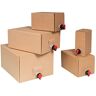 karton-billiger Bag-in-Box sets karton en zak 1,5L, 3L, 5L, 10L en 20L (40, 3liter)