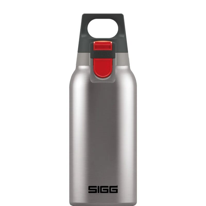 Sigg Hot & Cold One 0,3L Metall