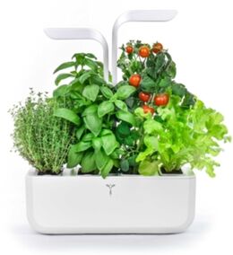 Véritable Vaso Autoirrigável Classic Garden Branco + 4 Recargas Solo/Sementes