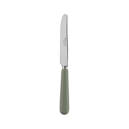 Sabre Paris Basic 18/10 Stainless Steel Dinner Knife (Set of 4) Sabre Paris Colour/Finish: Asparagus