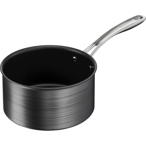 Tefal Premium Saucepan 16 cm - Pande