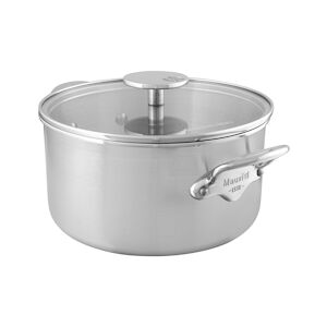 Mauviel1830 Cocotte inox avec Couvercle verre M'Urban tous feux 24cm Mauviel