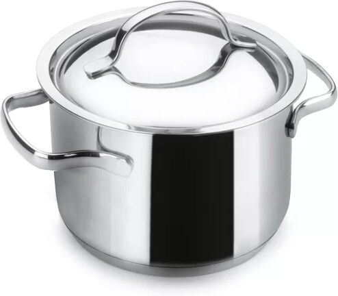 Symple Stuff Theodis Stock Pot with Lid Symple Stuff Size: 23 cm  - Size: