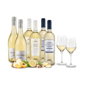 ebrosia Weißwein-Frühling M mit 6 Flaschen + 2 GRATIS-Gläser