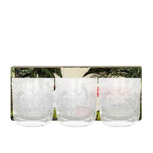 Don Papa Rum Don Papa Gläser Set – 3 Tumbler