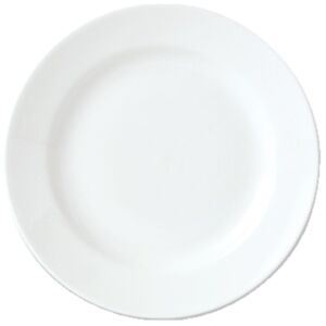 materiel chr pro Lot de 24 assiettes rondes en porcelaine blanche D 25,2 cm Blanc 0x0cm
