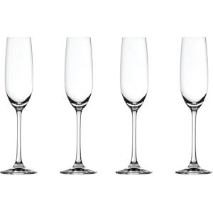 Coupe à champagne Salute 21 cl lot de 4 transparent