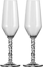 Orrefors Carat Champagne 24cl 2-pack