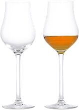 Rosendahl Premium Brennevinsglass 23cl 2-pack 2 stk/pakke