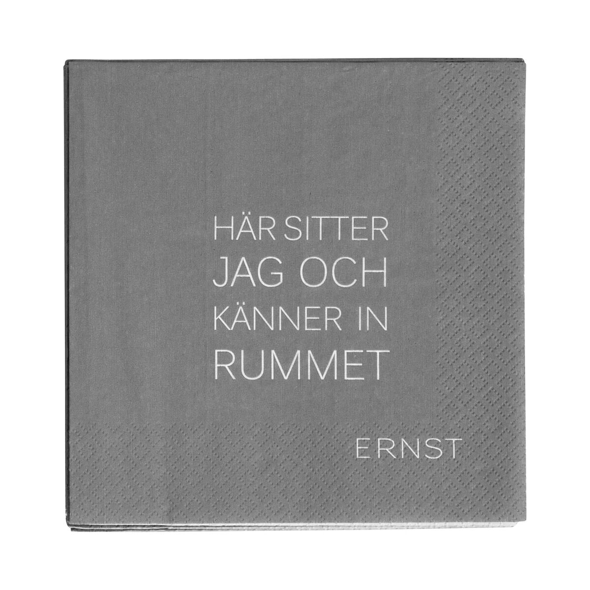 Ernst serviett med sitat Tid-Rum 20-pakning Grå