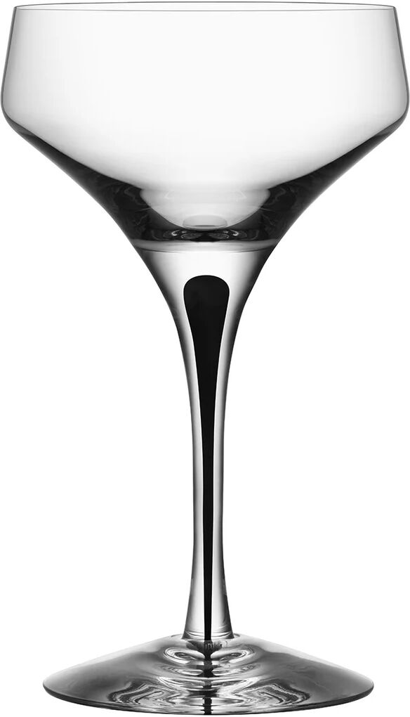 Orrefors Metropol champagneglass 24 cl Svart