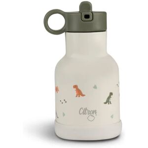 Citron Water Bottle 250 ml (Stainless Steel) stainless steel water bottle Dino 250 ml