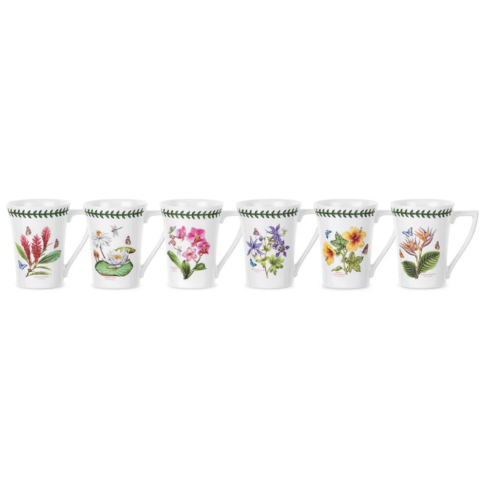 Photos - Glass Portmeirion Exotic Botanic Garden 6 Piece Mandarin Mugs Set white 11.6 H x