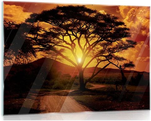 Latitude Run Africa Photograph Print on Glass Latitude Run Size: 60cm H x 80cm W  - Size: Rectangle 200 x 290cm