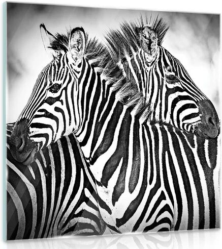 Bloomsbury Market 'Zebra' - Photograph Print on Glass Bloomsbury Market Size: 40cm H x 40cm W  - Size: 77cm H X 160cm W X 80cm D