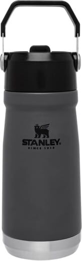 Photos - Thermos Stanley The IceFlow Flip Straw Water Bottle, Charcoal, 17 oz, 10-09991-002 