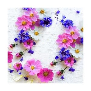 240 Duni Tissue-Servietten 33 x 33 cm Summer Florals 3-lagig