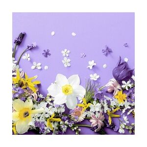 240 Duni Tissue-Servietten 33 x 33 cm Soft Spring Lilacs 3-lagig