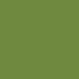 Duni Serviette Tissue Leaf Green 24x24 cm 3lagig 1/4 Falz 250 Stück