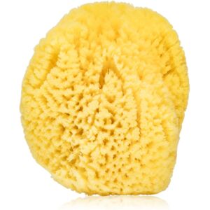 Agnotis Natural sponge éponge de bain pour enfant 1 pcs