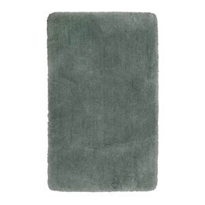 Homie Living Tapis de bain microfibre très doux uni vert sauge 70x120 Vert 70x120x70cm