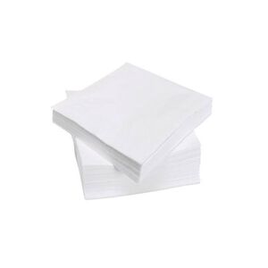 DELAISY – KARGO Serviette pure ouate blanche 2 plis 30x30cm x 4000 - Delaisy Kargo