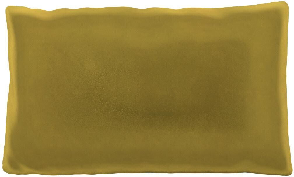 MYCS Coussin Jaune Colza - 30x50 cm - Housse en Velours. Coussin de canapé moelleux