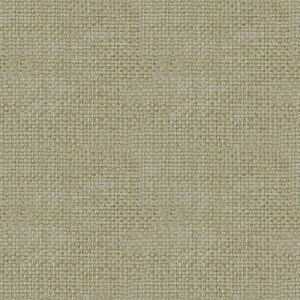 AZNAR Tessuto al metro Dream beige 300 cm